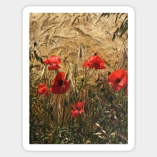 Not Wheat or Gluten Free, these Poppies Stand out from the Crowded Field Sticker